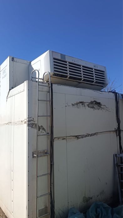 Schmitz Cargobull бутка рэф