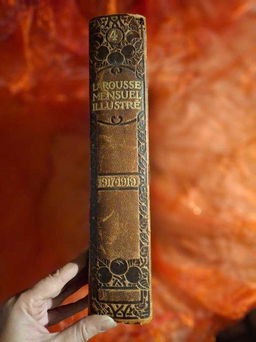 Le Petit Larousse Illustré 1917