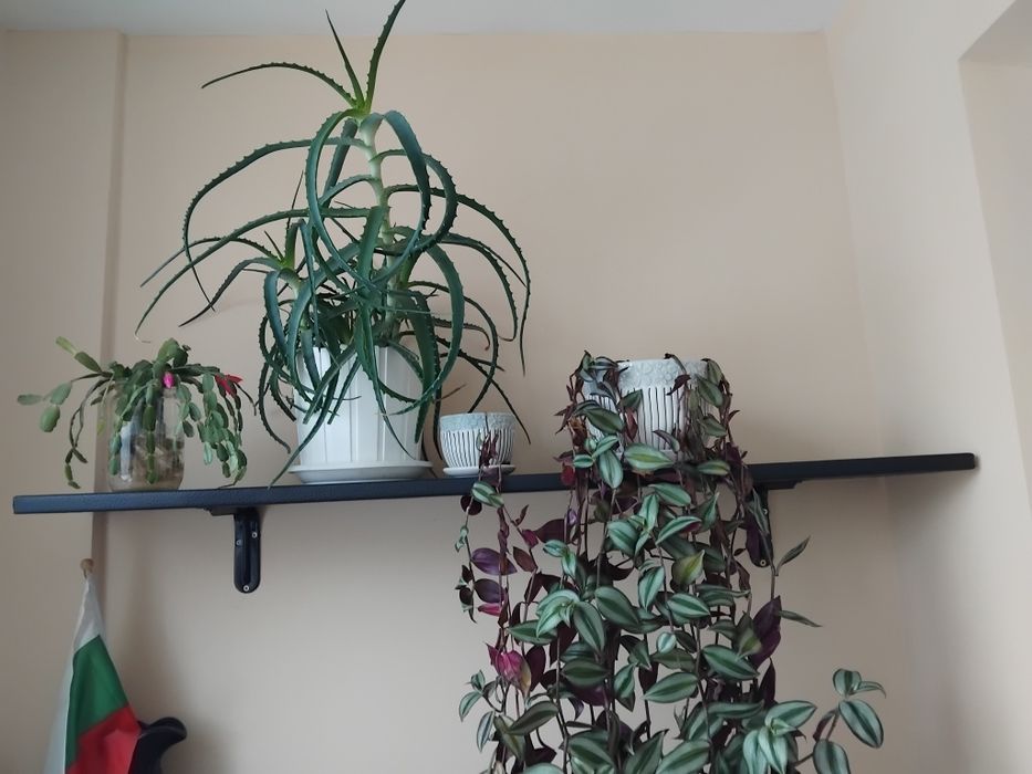 Кожена етажерка 140/25