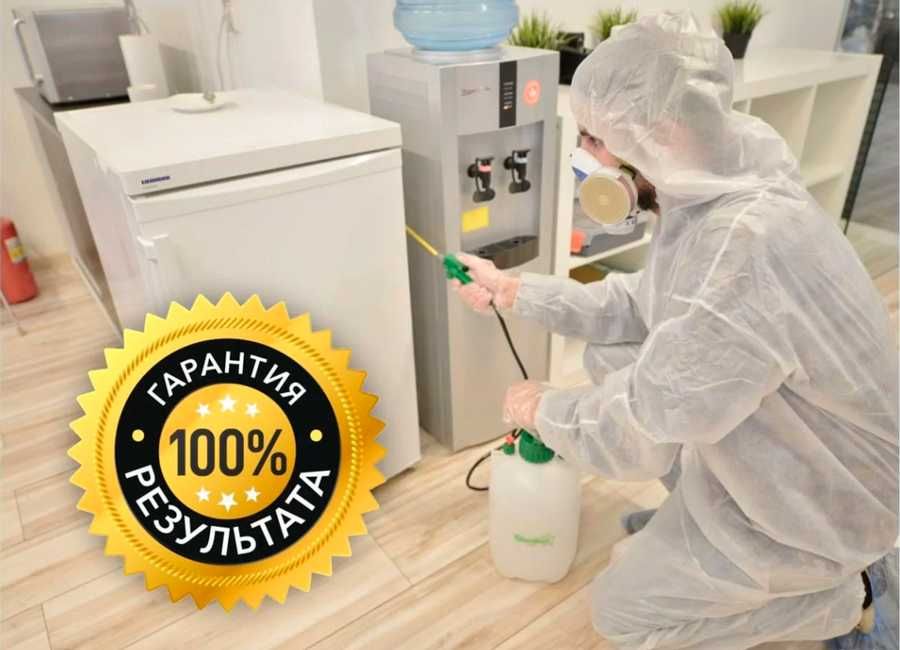 Дезинфекция клапа клопов таракан крыс Dezinfeksiya dezenfeksiya D29