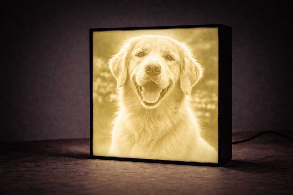 Cadou personalizat cu poza | Lampa 3D iluminata | Ideal cuplu / animale
