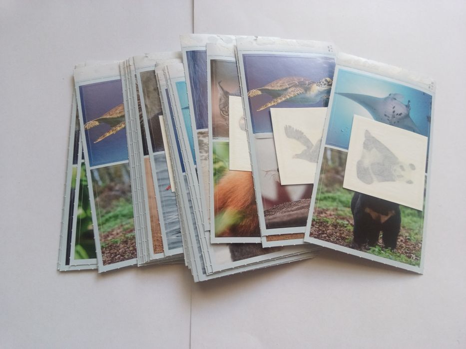 Билла стикери 64 броя + 11 татуировки