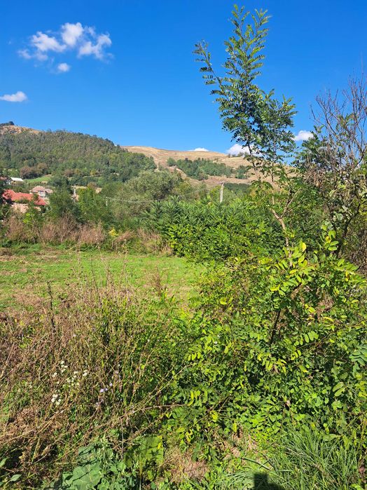 Vand teren intravilan