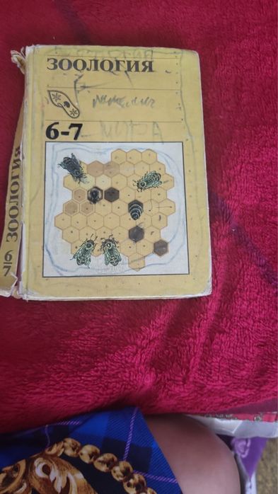 Книги учебники для школьников