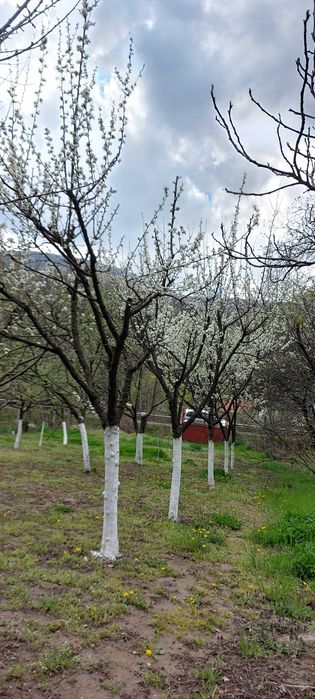 Teren  intrare Herculane ,E70.