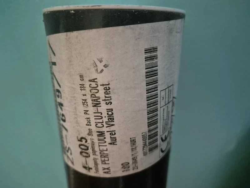 Fototapet duplex nou cu model acvariu mulți pești 254 x 184 cm