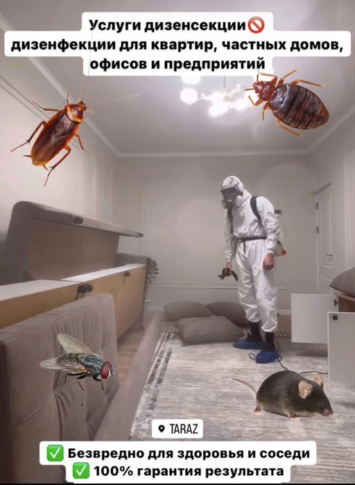 Дизенфекция Алматы Клопы Тараканы