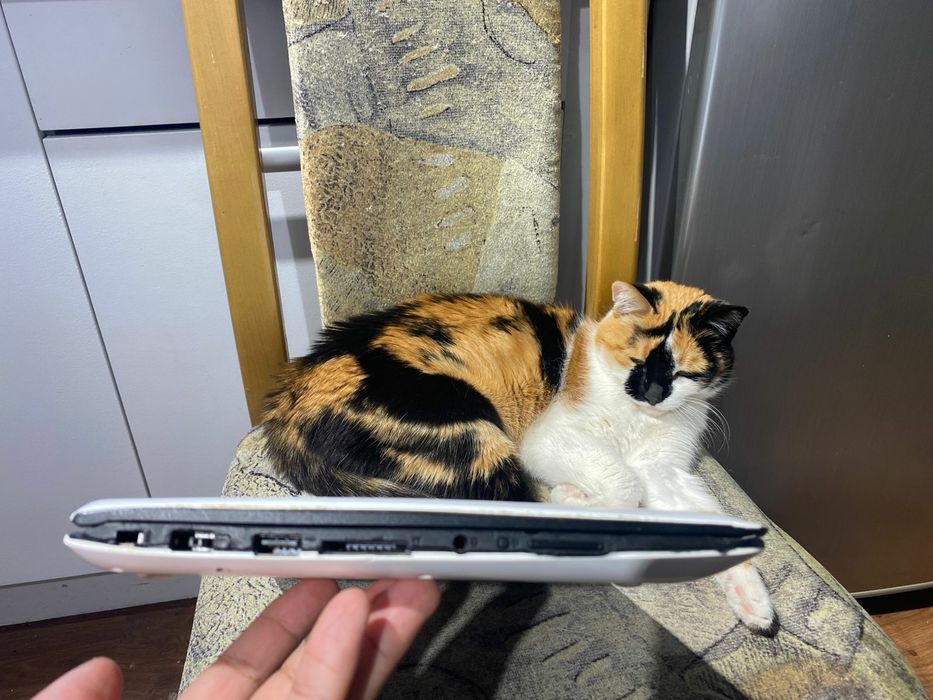 Бюджетный офисник Lenovo