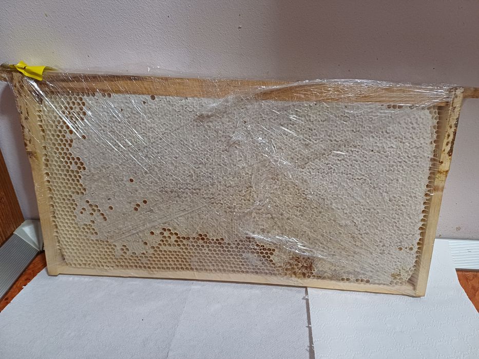 Rama intreaga cu 3kg faguri miere poliflora