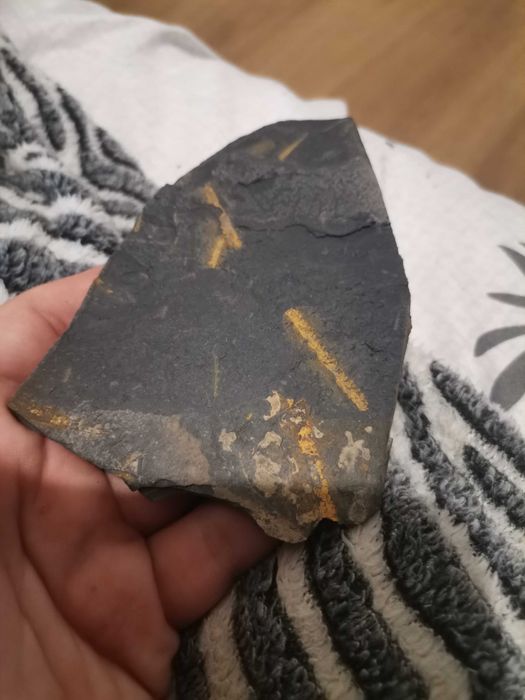 Продавам български фосили