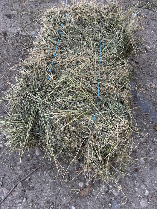 Vand baloti lucerna - productia din  2025