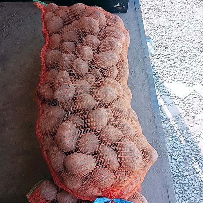 Cartofi cu miez galben