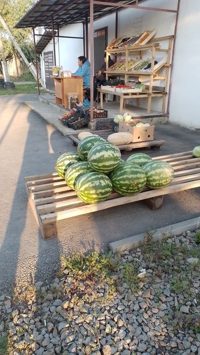 Продам двухэтажный дом  и  СТО .