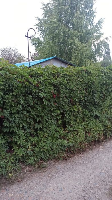 Продам дачу за понтонным мостом