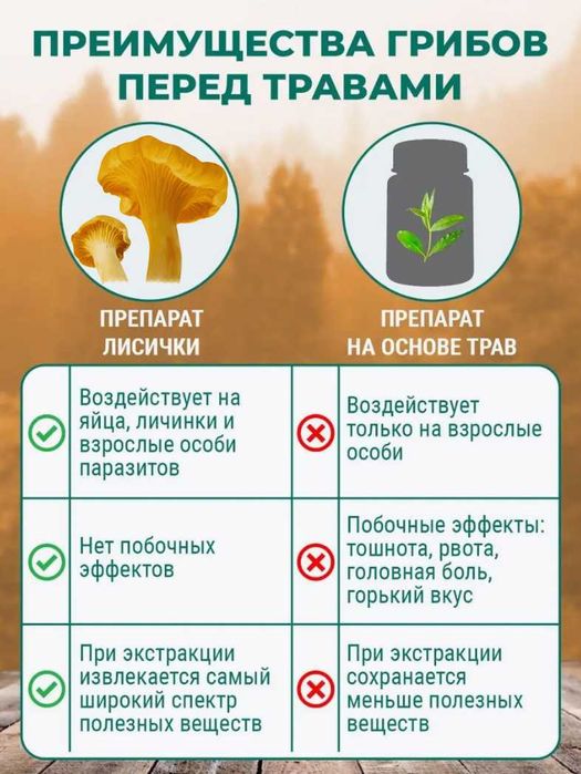 Грибы лисички | Премиум Башкирия | Цельные и молотые