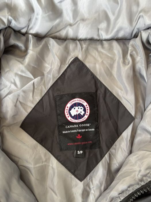 Яке Canada goose