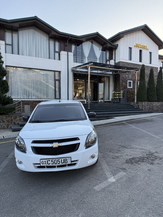 Cobalt midnight mcm Full