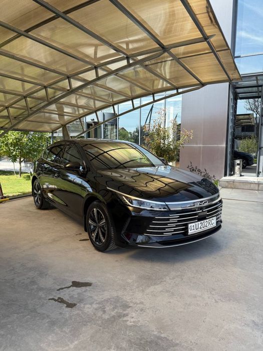 BYD Chazor 4poz Full