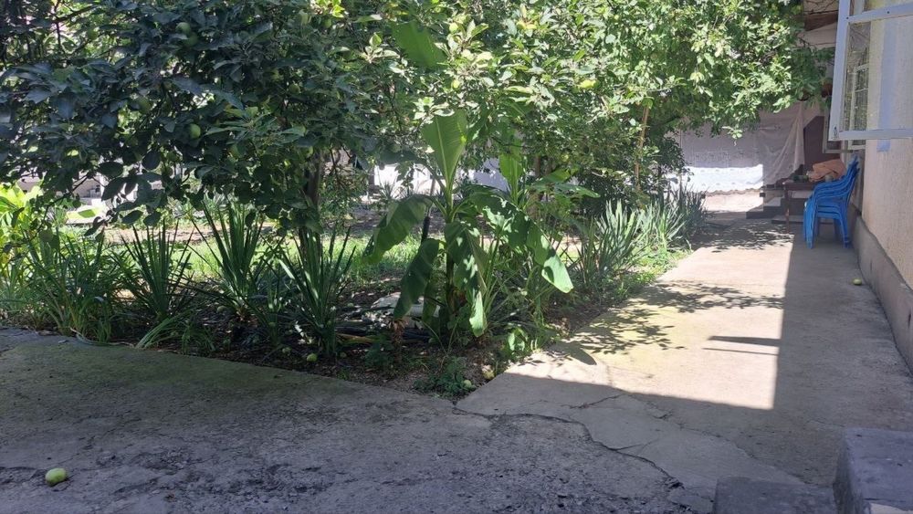 дом под слом  Вдоль дороги первая линия  Ботаника-таштюрьма