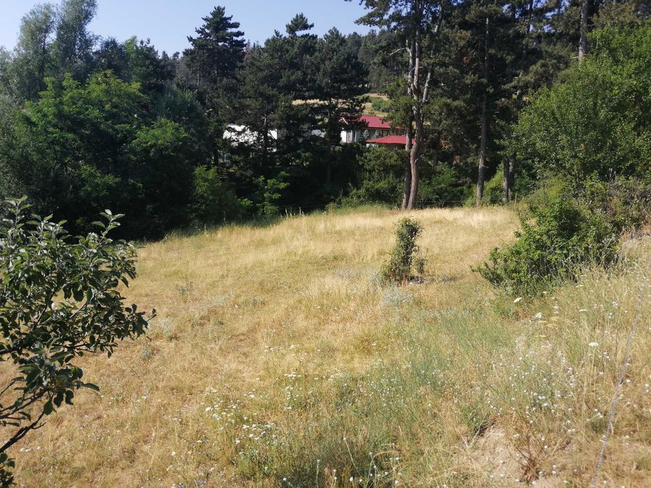 Продава се Земеделски имот в Велинград -  кв.м за 20400 €/дка - Снимка #2