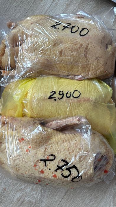 Продам готовые тушки уток