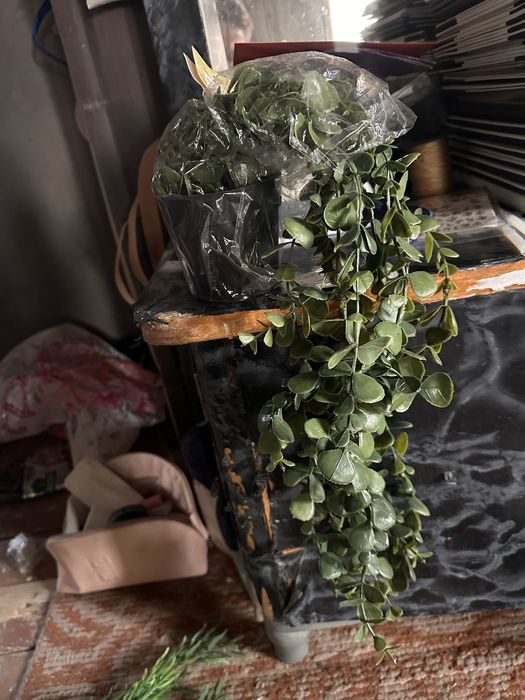 Свесающие цветы новые