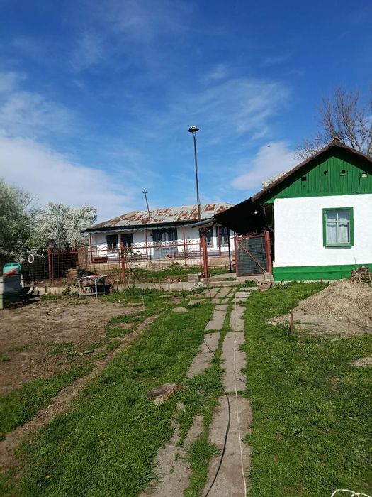 Casă vânzare Independenta