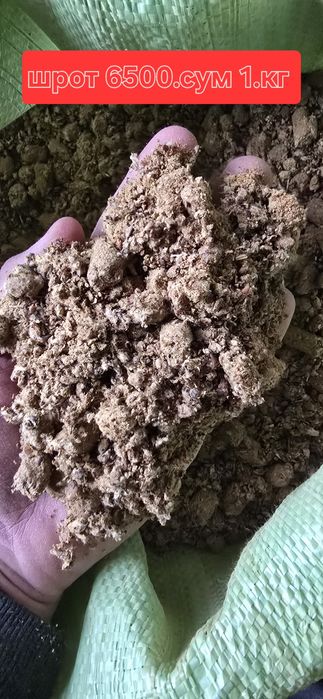 Бугдой   Жухори   Кунжара  Шрот  Арпа Шлуха Рапис  сфатлари алооо