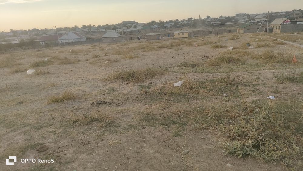 Шұбарсу массив Найман 2; 10 соток