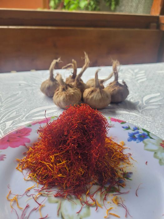 Bulbi sofran 100lei/kg, sau 1 leu bucata. Dimensiuni 8-13cm, aclimatizati in Arad, cultura proprie!