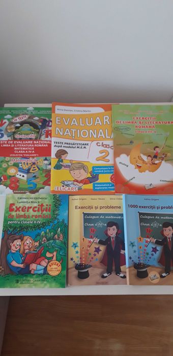 Meditaţii  la matematică si la limba română