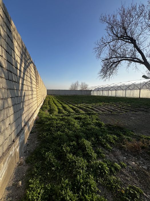 Продается или Аренда земельный участок Сурум