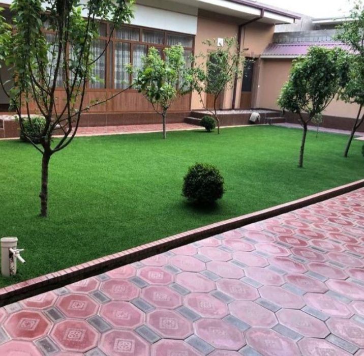 Суний газон ва девор