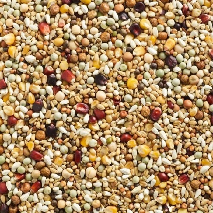 Mancare - amestec - mix porumbei