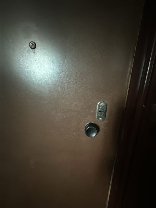 Дверь железная, входная