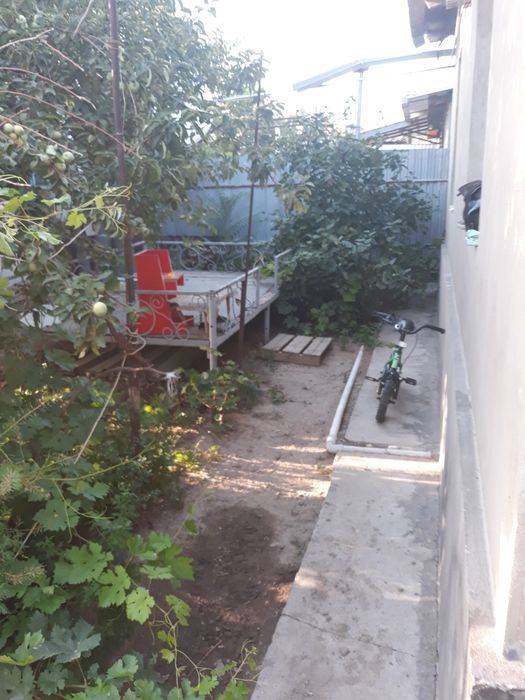 Забадам. Откорм Савхоз.