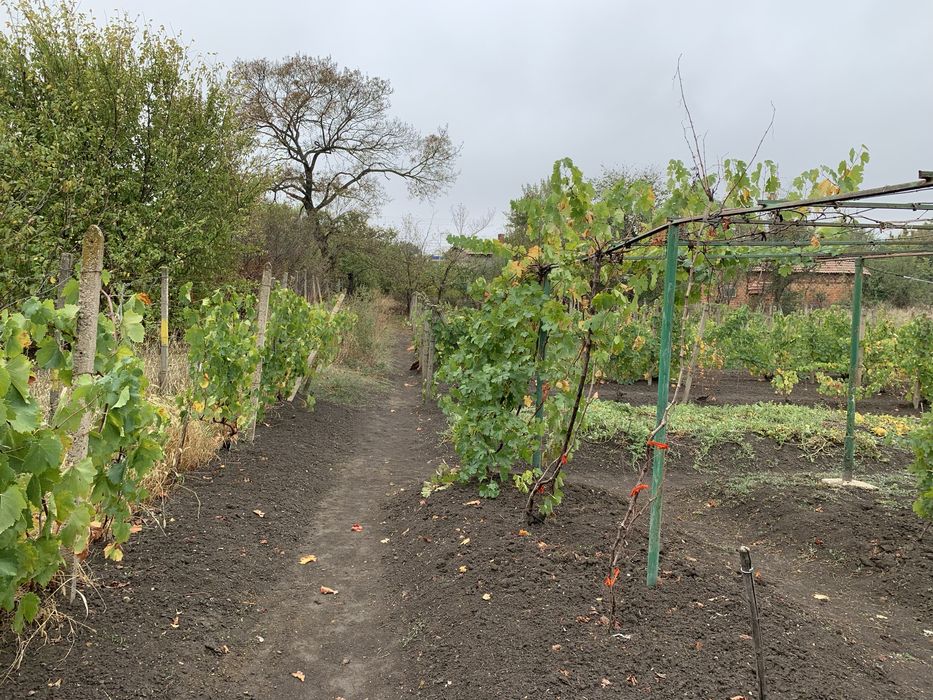 Продава се Къща в с. Попица, Област Враца - 2100 кв.м за 4 €/кв.м - Снимка #4