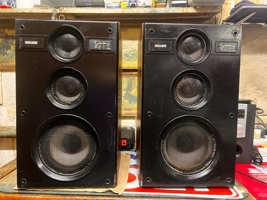 Акустическая система