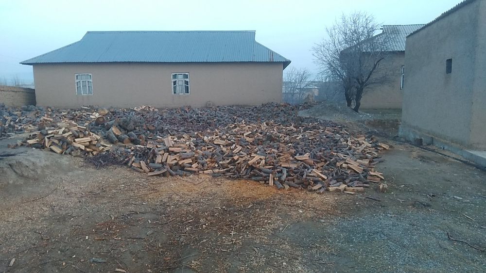 Mevali daraxtni o'tini bor cheklamagan miqtorda bor  kelishilgan xolda