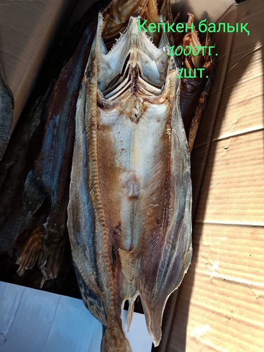 Балық сатылады Капчённый