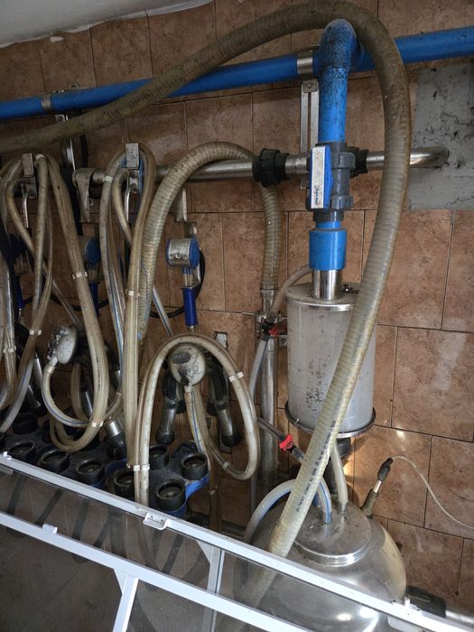 Instalatie muls 4 posturi