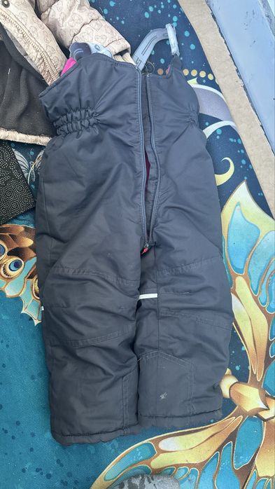 Отдам бесплатно