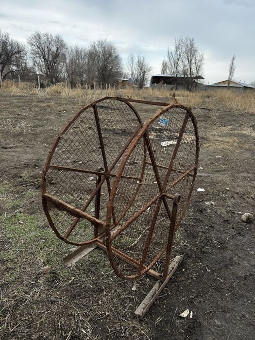 кораз на трениворке