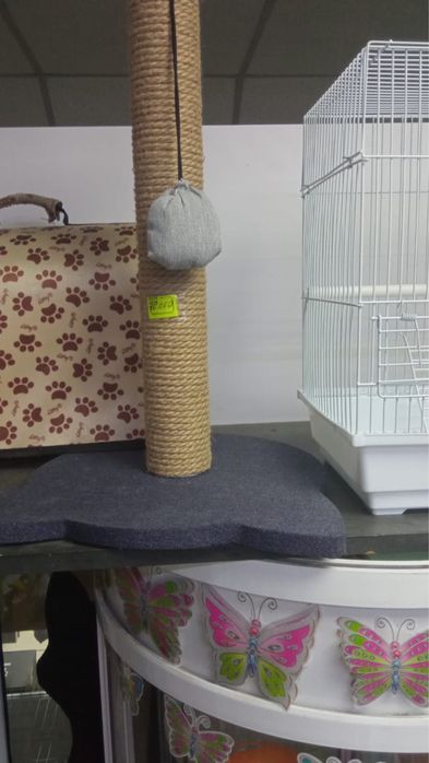 Когтеточки