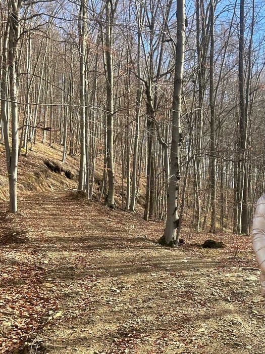 Teren cu panorama de vis , Borod