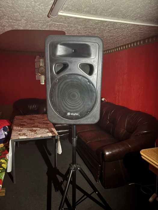 1100 lei usor neg boxa Skytec