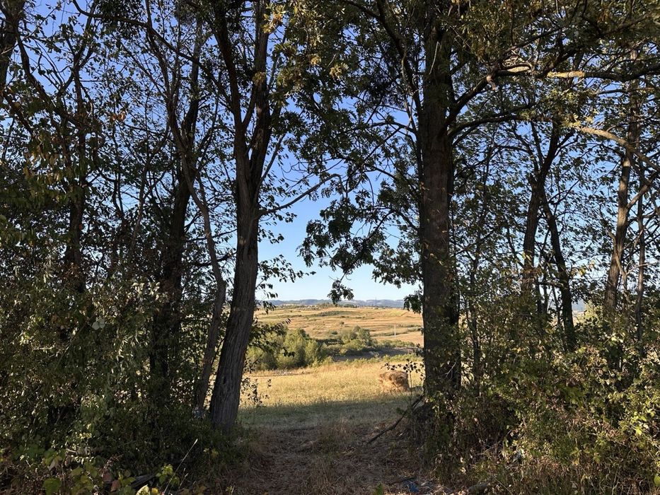 Vand teren in Bratca - Butiresti