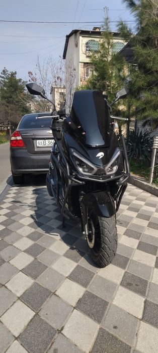 TIGER DRONGO yangi xoladi idiyal 0 pirabeg sirochni sotiladi otiberadi