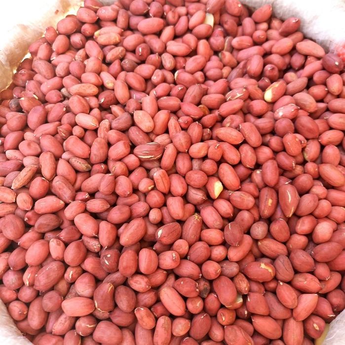 Сырой нежаренный арахис qovurilmagan xom yer yong'oq araxis орехи