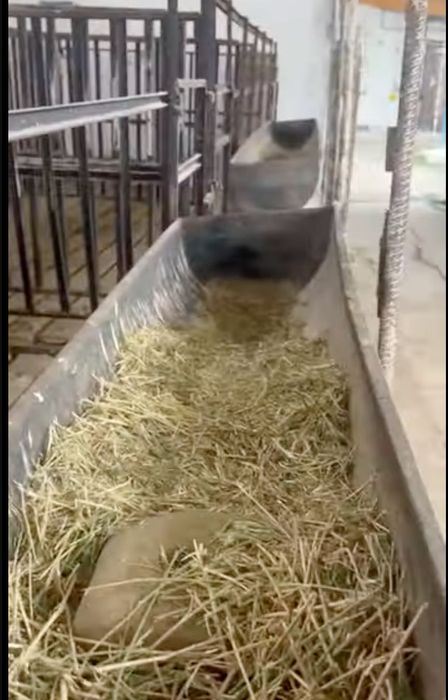 Qo'yxona sotiladi ( srochna)